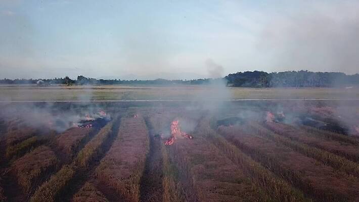 식물 계절 아시아 백그라운드 자연 동양인 사람없음 야외 빨간색 글로벌 농장 농경지 환경 손상 수확 시골 오픈 뜨거움 잡초 오염 연기 땅 밀짚 내추럴 논밭 밭일 이산화탄소 재앙 화상 세련 탄소 4K MOV 해외동영상 클립영상 나라 컬러 컨셉 밭 농업 논 인종 짚 상처 생태계 동영상 파일형식