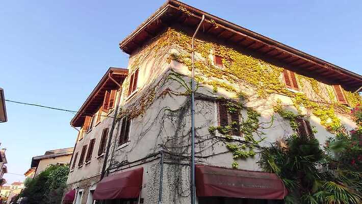 나무 공원 유럽 호수 벽 여행 건축양식 창문 자연 주택 사람없음 건물 물 파란색 도시풍경 반사 교회 계단 마을 탑 이탈리아 발코니 도시 역사 지중해 빌라 알프스 베네치아 옛날 사이프러스 4K MP4 해외동영상 클립영상 자연요소 식물 건축물 공공시설 건축 나라 바다 컬러 종교건축 풍경 생태계 동영상 파일형식