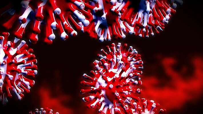 컨셉 단풍 캐나다 세포 실험 사람없음 글로벌 3D 중국 고통 죽음 깃발 바이러스 질병 위험 예방 감염 전염 애니메이션 백신 벤쿠버 전염병 증상 사스 코로나바이러스 4K 락다운 MOV 해외동영상 클립영상 감정 아시아 잎 북아메리카 의학 디지털합성 동영상 파일형식