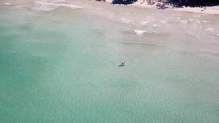 나무 모래 파도 바다 섬 여행 백그라운드 태국 자연 하늘 호텔 휴가 휴식 안테나 사람 사람없음 초록색 물 파란색 모래사장 야자수 태양 맑음 수영 자유 광선 투명 황금 언덕 하와이 폴리네시아 드론 터키석 파라다이스 그리너리 4K MP4 해외동영상 클립영상 자연요소 식물 아시아 컬러 컨셉 통신 숙소 날씨 미국 수상스포츠 오세아니아 보석 생태계 동영상 파일형식 트랜드컬러