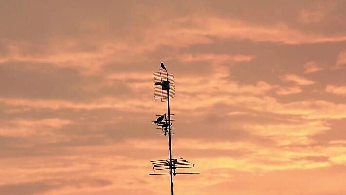 모양 실루엣 백그라운드 인터넷 비즈니스 통신 자연 조류 하늘 지붕 주택 안테나 사람없음 빛 스마트폰 일출 탑 금속 검은색 텔레비전 일몰 장비 공구 네트워크 정상 저녁 무선전화기 전화기 오브젝트 수화기 라디오 신호 윤곽 방송 전염 소통 고립 송신기 철강 MOV 해외동영상 클립영상 동물 건축물 컬러 컨셉 재질 촬영기법 건물 전자제품 핸드폰 스마트기기 노을 도구 질병 야간 생태계 감염 동영상 파일형식