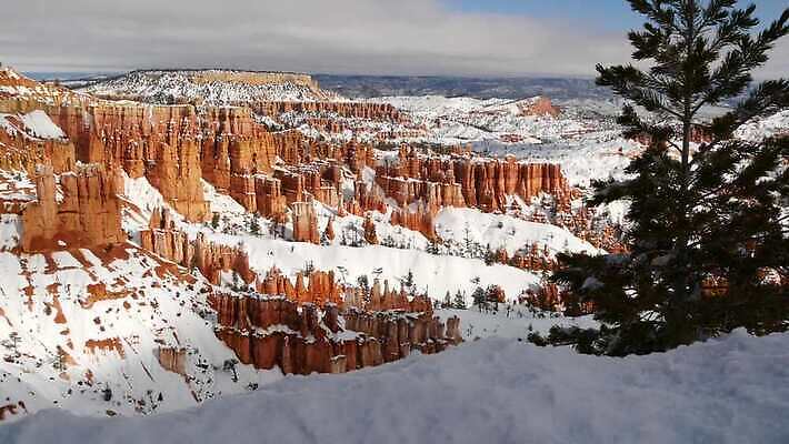 나무 여행 겨울 오렌지 자연 산 파노라마 국립공원 사람없음 빨간색 미국 트래킹 하이킹 소나무 황무지 분위기 정상 지역 사암 침엽수 애리조나 첨탑 전나무 랜드마크 벌거벗은 원형극장 특별함 4K MP4 해외동영상 클립영상 식물 계절 공원 컬러 컨셉 북아메리카 과일 레저 촬영기법 탑 돌_바위 극장 생태계 동영상 파일형식