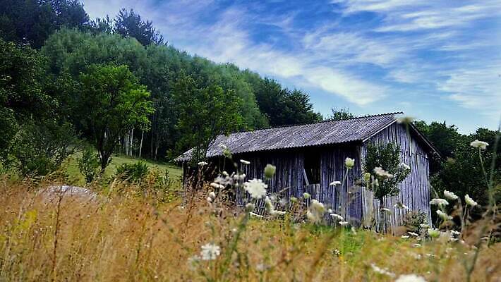 계절 백그라운드 건축양식 자연 날씨 산 사람없음 야외 건물 목재 컬러풀 정원 봄 수확 골동품 흰색 시골 역사 무서움 수납 헛간 외양간 서쪽 옛날 판잣집 HD MOV 해외동영상 클립영상 나무 건축물 건축 감정 컬러 농업 재료 주택 방향 생태계 저장고 동영상 파일형식