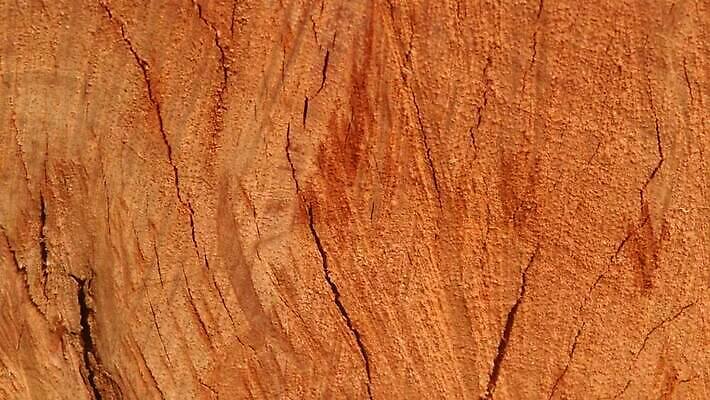 디자인 가구 백그라운드 건축양식 자연 날씨 추상 건조 건설업 사람없음 목재 장식 환경 페인트 수확 골동품 시골 소나무 거친 유기농 목공예 시들음 콘크리트 합판 카피스페이스 MP4 해외동영상 클립영상 나무 웰빙 건축 산업 생활용품 무늬 농업 재료 공백 공예 생태계 동영상 파일형식