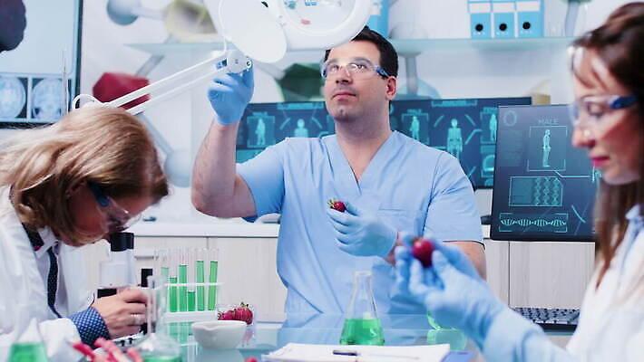 식물 직업 응시 산업 과학 딸기 노동자 건강 병원 현미경 실험 안전 사람 약 장비 시험 의사 코트 작업 실험실 생명공학 연구원 과학자 유기농 생물학 공학 조제 내추럴 개발 유전 유전자변형 4K MOV 해외동영상 클립영상 웰빙 시선 교육 과일 의학 실험기구 외투 의료진 만들기 동영상 학자 파일형식