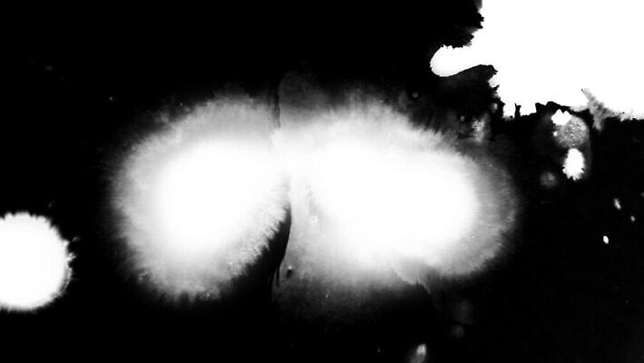 꽃 백그라운드 캘리그라피 추상 수채화 잉크 흑백 미술 사람없음 물 검은색 페인트 펼침 젖음 흐름 흰색 얼룩 원형 액체 혈액 변화 떨어짐 혼합 질감 합성 활기 내추럴 이혼 효과 MOV 해외동영상 클립영상 자연요소 도형 식물 컬러 컨셉 무늬 모션 문화예술 촬영기법 동영상 파일형식