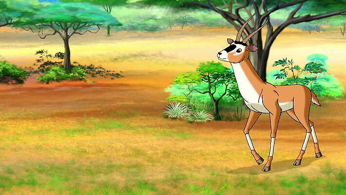 동물 야생동물 자연 사람없음 만화 영양 애니메이션 가젤 사바나 MOV 해외동영상 클립영상 생태계 동영상 파일형식