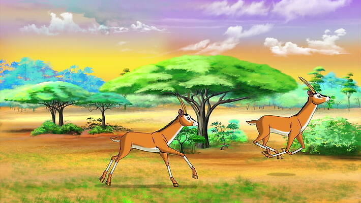 야생동물 자연 사람없음 군중 만화 영양 애니메이션 가젤 MOV 해외동영상 클립영상 동물 사람 생태계 동영상 파일형식