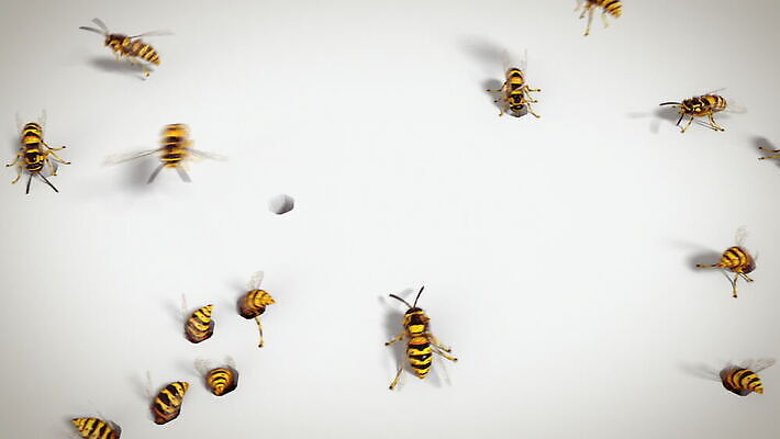 동물 야생동물 곤충 가족 자연 주택 골격 안테나 사람없음 여름 노란색 검은색 줄무늬 흰색 죽음 업무 뜨거움 독약 구멍 고리 둥지 말벌 위험 벌 육식동물 애벌레 꿀 애니메이션 찌르기 벌집 숨김 식민지 의무 비어있는 MOV 해외동영상 클립영상 계절 컬러 컨셉 무늬 통신 관계 모션 건물 작업 벌레 벌_곤충 생태계 동영상 파일형식