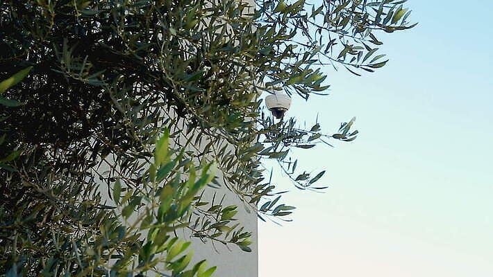 나무 외관 응시 벽 주택 경비 안전 사람없음 야외 건물 카메라 디지털 모니터 정원 장비 관찰 도시 범죄 재산 보호 보안 전자 공포 감시 시스템 동영상 사생활 센서 이스라엘 제어 탐지 MOV 해외동영상 클립영상 식물 건축물 시선 컨셉 모션 금융 전자제품 컴퓨터 서아시아 파일형식