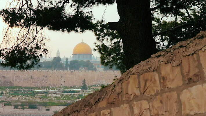 나무 종교 문화 벽 여행 오렌지 중동 건축양식 안테나 풍경 사람없음 건물 도시풍경 태양 교회 일몰 새벽 도시 영혼 역사 황금 이슬람교 묘사 모스크 신성 구시가지 랜드마크 아랍어 예루살렘 옛날 이스라엘 팔레스타인 MOV 해외동영상 클립영상 자연요소 식물 건축물 건축 나라 과일 통신 종교건축 노을 동영상 서아시아 파일형식