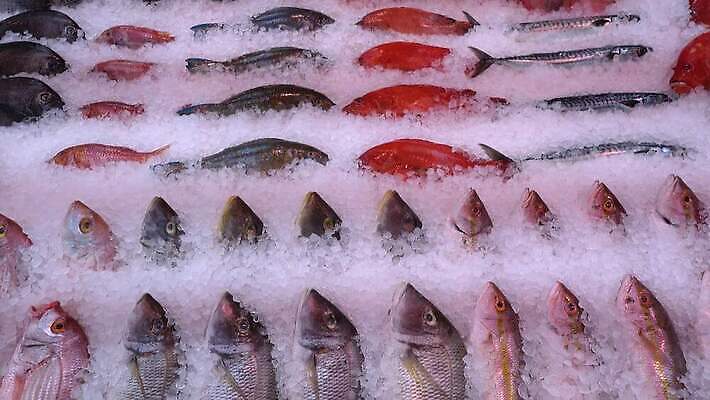 동물 음식 바다 분홍색 백그라운드 패턴 다이어트 재료 낚시 추상 건강 종류 어류 요리 서기 사람없음 빨간색 머리 세일 상점 냉동 얼음 회색 추위 죽음 신선 잡기 시장 닫기 선택 은색 해산물 날것 소매 단백질 생식 저지방 줄서기 4K MOV 해외동영상 클립영상 자연요소 컬러 컨셉 무늬 모션 레저 신체부위 수중동물 기름_음식 동영상 영양소 파일형식