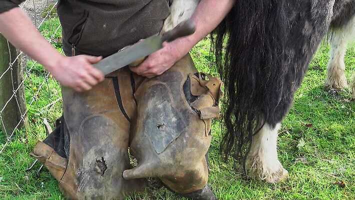 동물 직업 전통 신발 포유류 발 기술 건강 관리 농장 금속 가축 목장 장비 도구 업무 칼날 승마 수리 농부 청소 무역 파일 클립 손질 조랑말 수의사 공예가 다듬기 대장장이 돌봄 양발 조작 철강 편자 4K MP4 해외동영상 클립영상 산업 스포츠 농업 모션 재질 신체부위 의사 말_동물 작업 동영상 말발굽 파일형식