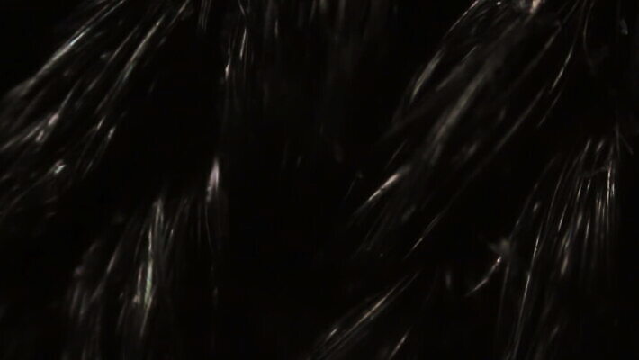 디자인 옷 줄 백그라운드 패턴 표면 추상 현미경 사람없음 그래픽 유행 검은색 웹 회색 매트 직물 면 그물 거친 뜨개질 실 닫기 천 삼베 질감 합성 캔버스 결 창살 걸레 섬유 망사 짜임 아마 엘리먼트 엮은 장식술 MOV 해외동영상 클립영상 꽃 컬러 무늬 인터넷 모션 실험기구 취미 장식 청소도구 동영상 파일형식 천_직물