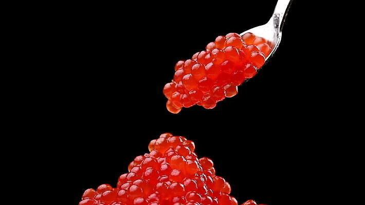 음식 바다 오렌지 재료 공 건강 어류 사람없음 빨간색 금속 숟가락 검은색 식사 흐름 신선 고급 아침식사 해산물 날것 연어 점심식사 절임 짠맛 캐비아 맛있는 MOV 해외동영상 클립영상 컬러 컨셉 과일 식재료 재질 수저 수중동물 맛 동영상 파일형식