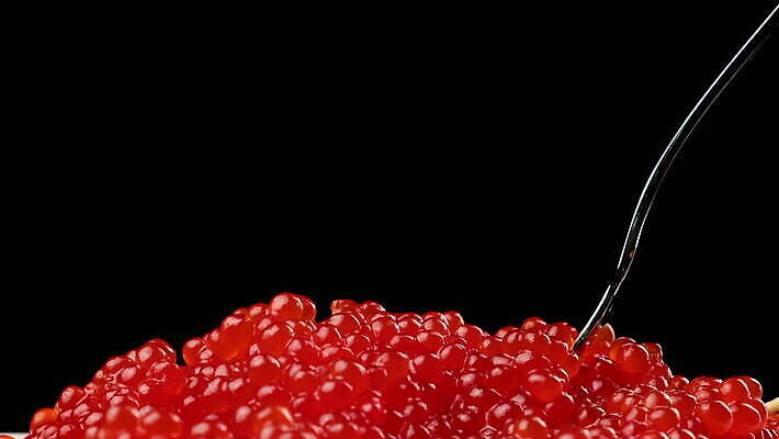 음식 바다 포크 오렌지 재료 공 건강 어류 사람없음 빨간색 금속 검은색 식사 흐름 신선 고급 아침식사 해산물 날것 연어 점심식사 절임 짠맛 캐비아 맛있는 4K MOV 해외동영상 클립영상 식기 컬러 컨셉 과일 식재료 재질 수중동물 맛 동영상 파일형식