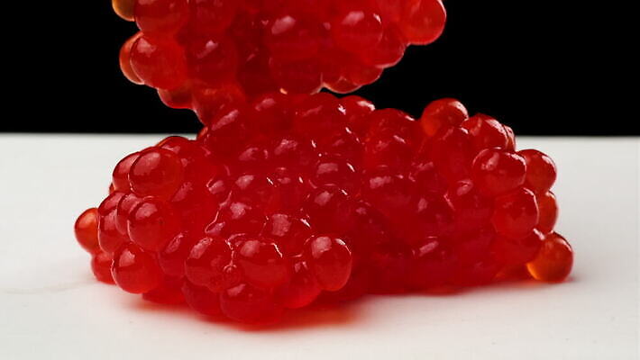 음식 바다 오렌지 재료 공 건강 어류 사람없음 빨간색 금속 검은색 식사 흐름 신선 고급 맛 아침식사 해산물 날것 연어 점심식사 절임 짠맛 캐비아 맛있는 4K MOV 해외동영상 클립영상 컬러 컨셉 과일 식재료 재질 수중동물 동영상 파일형식