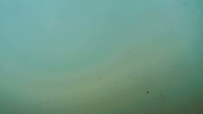 호수 물결 파도 바다 포즈 백그라운드 모션 자연 표면 바닥 창조 사람없음 물 여름 파란색 빛 햇빛 수중 어둠 침묵 광선 투명 액체 아래 다이빙 질감 장면 깊이 원정 진짜 터키석 4K MOV 해외동영상 클립영상 자연요소 계절 컬러 태양 수영 소리 보석 방향 생태계 위치 동영상 수중스포츠 파일형식