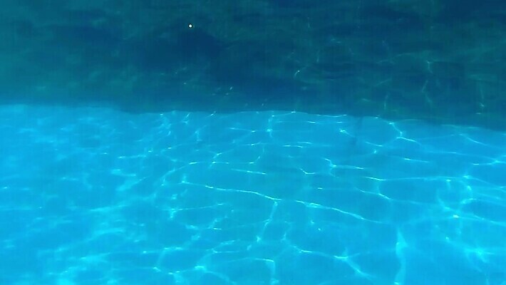 동물 손 실루엣 야생동물 바다 컬러 백그라운드 자연 낚시 수채화 건강 어류 사람없음 장식 초록색 물 파란색 빛 강 컬러풀 검은색 수중 수영 활발 젖음 신선 액체 작음 수집 해산물 메뉴 질감 날것 도미 수족관 잉어 고립 엘리먼트 MOV 해외동영상 클립영상 자연요소 컨셉 레저 촬영기법 신체부위 수중동물 수상스포츠 크기 생태계 동영상 파일형식