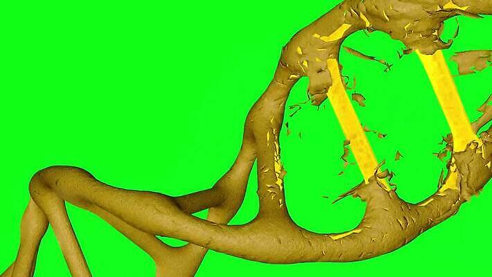 모델 디자인 과학 백그라운드 자연 추상 세포 건강 미술 사람 사람없음 그래픽 약 3D 진화 바이러스 DNA 생명공학 생물학 염색체 조제 더블 복제 신맛 유전 4K MOV 해외동영상 클립영상 교육 무늬 의학 문화예술 맛 소방 디지털합성 생태계 만들기 동영상 파일형식