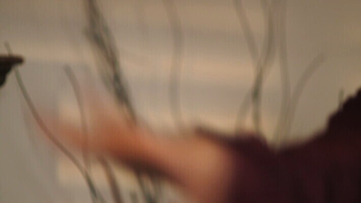 접시 손 기념일 모션 유리 실내 사람 이벤트 성인 빨간색 식당 와인 저녁식사 낭만 분노 날짜 던지기 고급 우아함 닫기 충돌 묘사 속도 싸움 말다툼 블러 MOV 해외동영상 클립영상 식기 감정 컬러 컨셉 재질 주류 내부 신체부위 상점 식사 동영상 파일형식