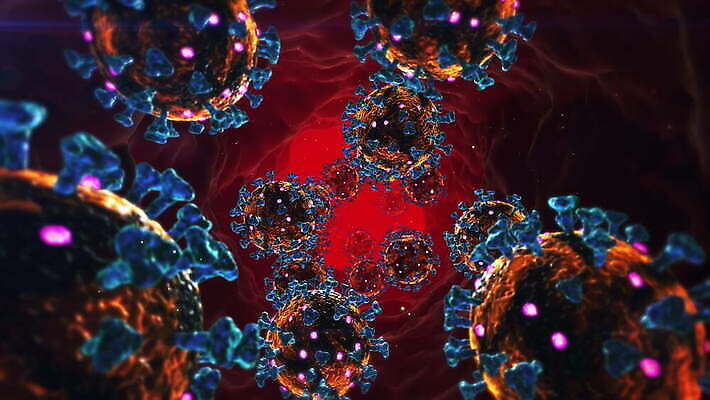 백그라운드 추상 세포 병원 현미경 사람없음 약 흐름 혈액 바이러스 확대 질병 생물학 감염 미생물 박테리아 동맥 면역력 백신 유전 4K MOV 해외동영상 클립영상 교육 컨셉 무늬 의학 생물 실험기구 혈관 동영상 파일형식
