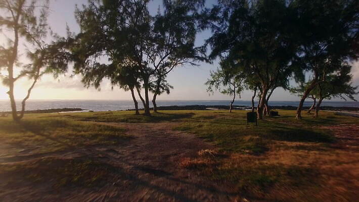 나무 바다 섬 여행 자연 휴가 안테나 사람없음 물 파란색 검은색 일몰 장면 스카이라인 항공촬영 드론 모리셔스 4K MOV 해외동영상 클립영상 자연요소 식물 뷰포인트 컬러 통신 노을 생태계 동영상 파일형식