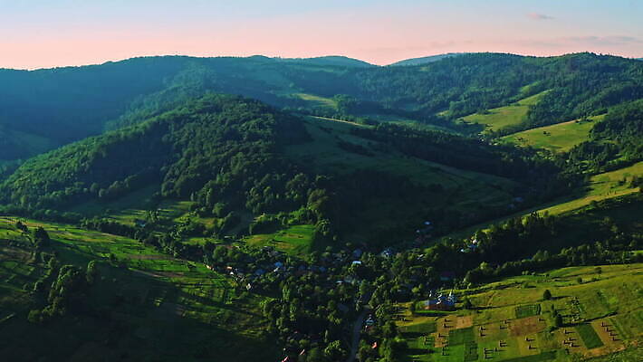 나무 산 사람없음 야외 마을 일출 숲 4K MOV 해외동영상 클립영상 식물 노을 동영상 파일형식