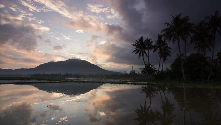 나무 자연 건강 사람없음 야외 4K 타임랩스 MP4 해외동영상 클립영상 식물 촬영기법 생태계 동영상 파일형식