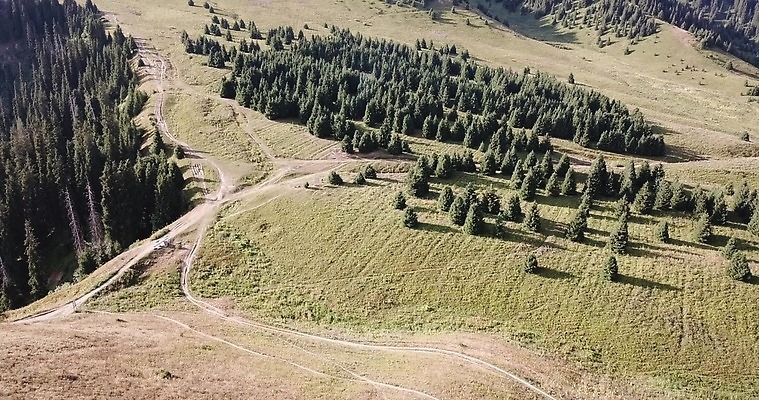 나무 자연 산 사람없음 초록색 항공촬영 카자흐스탄 4K MP4 해외동영상 클립영상 식물 아시아 뷰포인트 컬러 생태계 동영상 파일형식