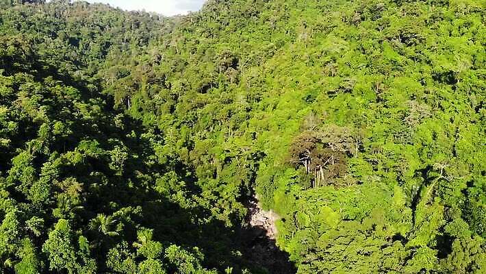 주간 나무 식물 태국 자연 사람없음 초록색 숲 열대우림 항공촬영 MP4 해외동영상 클립영상 자연요소 아시아 뷰포인트 컬러 생태계 동영상 파일형식