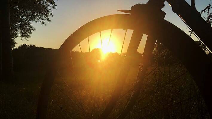 라이프스타일 실루엣 스포츠 자연 하늘 사람없음 반짝임 햇빛 자전거 일몰 바퀴 4K MOV 해외동영상 클립영상 모션 촬영기법 생활 태양 노을 바이크 생태계 동영상 파일형식