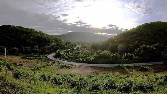 나무 구름 도로 곡선 자동차 자연 하늘 산 풍경 사람없음 야외 MOV 해외동영상 클립영상 자연요소 식물 길 선 육상교통 교통시설 생태계 동영상 파일형식