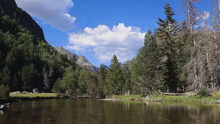 나무 유럽 호수 자연 하늘 산 사람없음 야외 초록색 스페인 숲 4K MP4 해외동영상 클립영상 식물 나라 컬러 생태계 동영상 파일형식