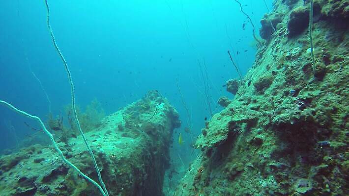 동물 야생동물 스포츠 바다 섬 여행 백그라운드 태국 자연 휴가 바닥 항해 어류 취미 사람없음 물 파란색 환경 바닷속 수중 다양 탐험 산호 잠수부 아래 생태계 다이빙 부드러움 태평양 암초 수족관 석호 내추럴 깊이 안다만 이국적 파라다이스 4K MP4 해외동영상 클립영상 자연요소 아시아 컬러 다수 수영 수중동물 배 감각 자포동물 전문직 방향 위치 동영상 수중스포츠 선박 파일형식