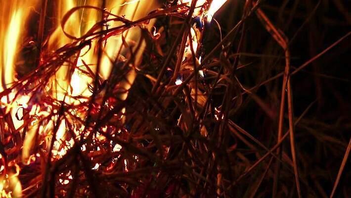 백그라운드 오렌지 모션 자연 벽지 불꽃 따뜻함 사람없음 빨간색 빛 노란색 검은색 힘 에너지 긴급 손전등 뜨거움 더위 야간 위험 모닥불 사건 묘사 벽난로 질감 매움 화재 연료 파열 연소 엘리먼트 점화 지옥 진짜 화상 4K HD MP4 해외동영상 클립영상 자연요소 컬러 컨셉 과일 불 날씨 조명 맛 상처 생태계 동영상 파일형식