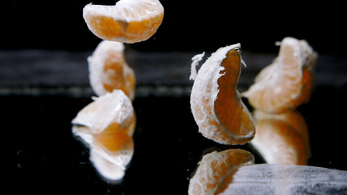 과일 귤 사람없음 떨어짐 4K MOV 해외동영상 슬로모션 클립영상 컨셉 촬영기법 동영상 파일형식