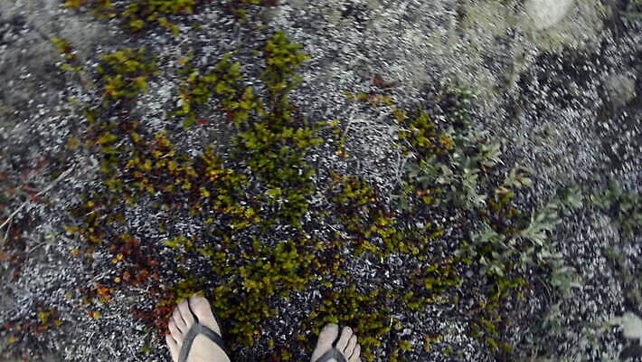 백인 이끼 한명 서기 야외 하이앵글 그린란드 돌리기 땅바닥 양발 MOV 해외동영상 클립영상 서양인 1 뷰포인트 섬 모션 바닥 덴마크 사람 동영상 파일형식