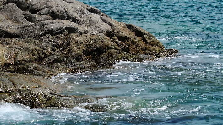 파도 바다 자연 사람없음 야외 MOV 해외동영상 클립영상 생태계 동영상 파일형식