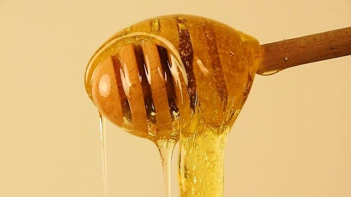 재료 사람없음 목재 흐름 액체 달콤 꿀 MOV 해외동영상 클립영상 나무 컨셉 맛 동영상 파일형식