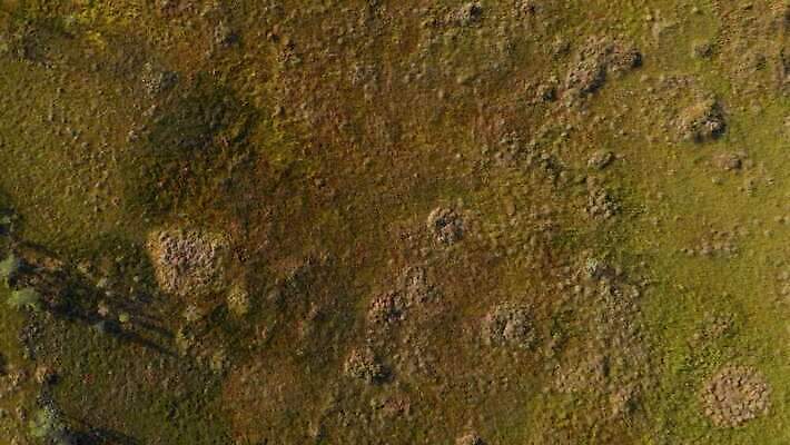 나무 식물 유럽 컬러 여행 자연 하늘 안테나 사람없음 야외 반사 환경 침묵 펼침 연못 소나무 보호 습지 숲 생태계 러시아 내추럴 드론 변소 전국 4K MP4 해외동영상 클립영상 나라 컨셉 통신 모션 소리 동영상 파일형식