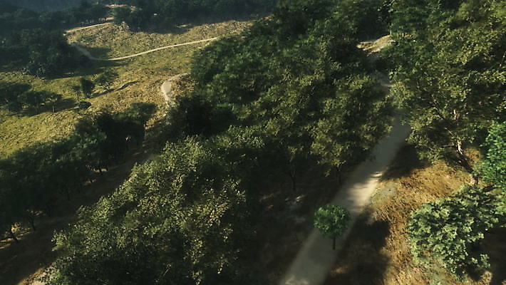 나무 자연 산 사람없음 야외 초록색 숲 항공촬영 MOV 해외동영상 클립영상 식물 뷰포인트 컬러 생태계 동영상 파일형식