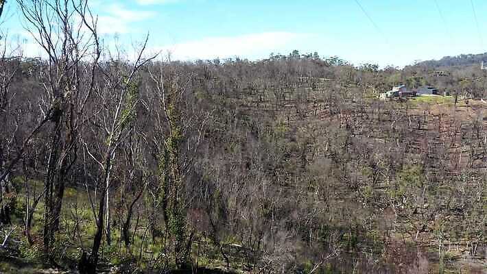 나무 구름 여행 자연 하늘 불 날씨 산 건조 안테나 풍경 사람없음 야외 초록색 여름 파란색 햇빛 갈색 환경 계곡 검은색 뜨거움 호주 숲 땅 언덕 암초 가뭄 동영상 드론 치유 4K MP4 해외동영상 클립영상 자연요소 식물 계절 컬러 통신 태양 오세아니아 생태계 파일형식