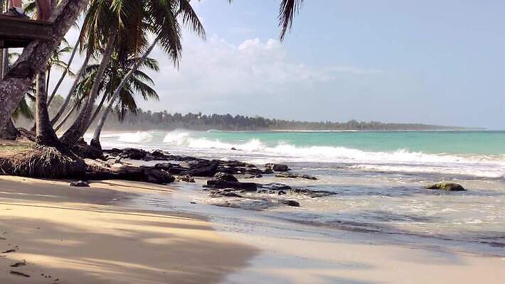 나무 모래 바다 섬 여행 자연 하늘 손바닥 사람없음 물 파란색 강 모래사장 야자수 태양 일몰 탐험 신선 대서양 내추럴 공화국 도미니카공화국 민물 이국적 코스타리카 파라다이스 4K MP4 해외동영상 클립영상 자연요소 식물 손 나라 컬러 노을 남아메리카 중앙아메리카 생태계 동영상 파일형식