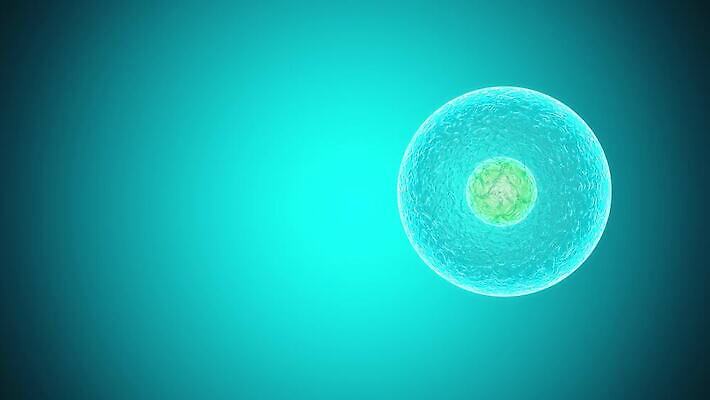 과학 미래 세포 엑스레이 나선형 건강 사람 사람없음 치료 약 디지털 망 혈액 진화 바이러스 질병 생명공학 생물학 회전 감염 미생물 염색체 암 물리학 복제 엘리먼트 유전 폴리곤 4K MP4 해외동영상 클립영상 교육 컨셉 무늬 의학 생물 소방 동영상 물리 파일형식