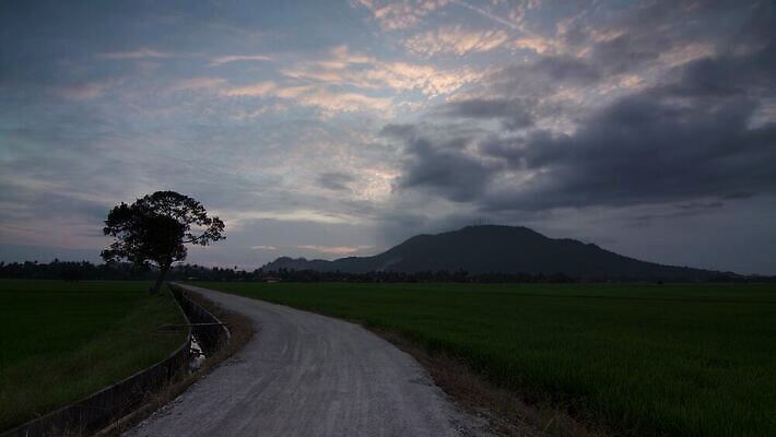 나무 구름 계절 도로 길 밭 자연 하늘 파노라마 풍경 초원 사람없음 야외 여름 파란색 컬러풀 태양 농장 환경 침묵 시골 신선 땅 언덕 내추럴 완벽 혼자 4K MP4 해외동영상 클립영상 자연요소 식물 컬러 컨셉 농업 교통시설 촬영기법 소리 생태계 동영상 파일형식