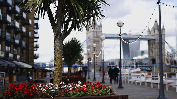 주간 나무 구름 꽃 유럽 상징 여행 건축양식 자연 하늘 아침 영국 잉글랜드 파노라마 풍경 사람없음 건물 물 빛 강 도시풍경 햇빛 고층빌딩 도시 역사 심볼 런던 스카이라인 동영상 천연기념물 랜드마크 수도권 왕국 템스강 4K MOV 해외동영상 클립영상 자연요소 식물 건축물 건축 나라 촬영기법 빌딩 태양 생태계 지역 파일형식