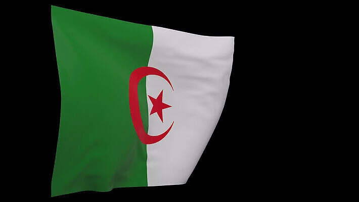 배너 물결 사람없음 깃발 애국심 알제리 전국 4K MOV 해외동영상 클립영상 아프리카 동영상 파일형식