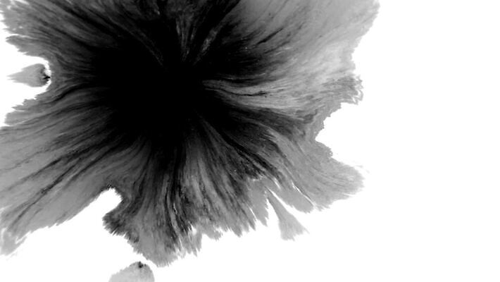 모양 종이 컬러 백그라운드 패턴 추상 수채화 잉크 건조 미술 사람없음 물 검은색 페인트 놀람 펼침 젖음 흐름 흰색 점 원형 그리기 액체 혈액 떨어짐 정상 혼합 질감 쏟아짐 파열 내추럴 고립 그런지 타격 화학물질 MOV 해외동영상 클립영상 자연요소 도형 감정 컨셉 무늬 모션 문화예술 표정 화학 동영상 파일형식