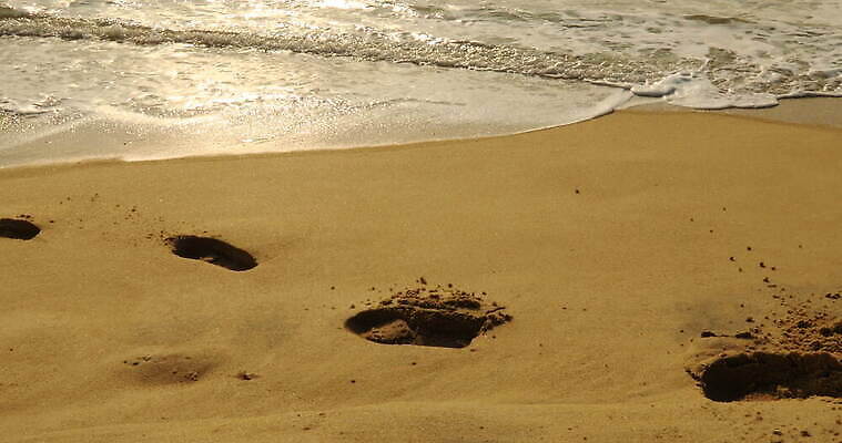 디자인 아시아 도로 모래 파도 여행 백그라운드 패턴 자연 추상 휴가 미술 사람없음 환경 맑음 희망 사막 시간 뜨거움 구멍 야간 저녁 사파리 언덕 질감 온도 동쪽 고립 방법 오해 진짜 케랄라주 4K MOV 해외동영상 클립영상 자연요소 감정 나라 길 바다 무늬 교통시설 날씨 문화예술 인도_나라 방향 생태계 동영상 파일형식